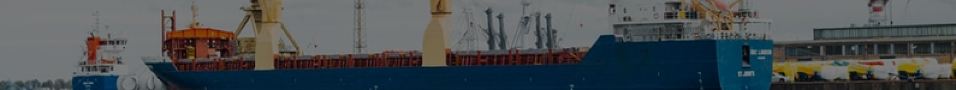 Photo 2 de l'annonce Recherche importateurs pour farine de blé export