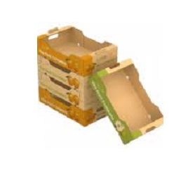 Fissure in Sandstone