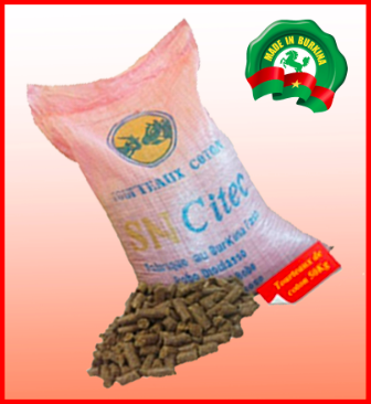 Fissure in Sandstone