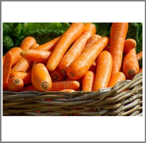 Fissure in Sandstone